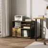 WOLTU Aktenschrank, Rollcontainer mit Schublade&offenen Produktbild-Vorschau 4