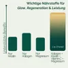 Kreatin-Kollagen Komplex mit Magnesium & Vitamin C - Labor Produktbild-Vorschau 4