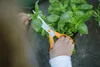 Ciseaux universels Fiskars Classic, 21 cm S90 Voir les images du produit 11