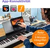 Yamaha P-225B Produktbild-Vorschau 14