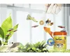 Tetra FunTips Tablets - an der Aquarium-Scheibe haftende Produktbild-Vorschau 15