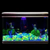 A decorated aquarium with glowing stones and fairy figurines. Produktbild-Vorschau