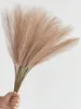 Erba della pampa artificiale 20 pezzi fronde di canna Anteprima dell’immagine prodotto 8