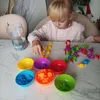Set didattico dinosauri montessori 48 pz Anteprima dell’immagine prodotto 12