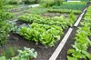 Set 3x Komposter Unterirdischer Garten 11 L Anthrazit Produktbild-Vorschau 8
