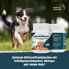 Gelenktabletten für Hunde 125 Stk - Grünlippmuschel, Produktbild-Vorschau 6