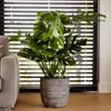 Capi Blumentopf Nature Rib 35x34 cm Anthrazit KOFZ932 Produktbild-Vorschau 10