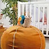 SIGIKID Sigikid Schnecke Patchwork Sweety Produktbild-Vorschau 2