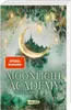 Moonlight Academy. Feenzauber Produktbild-Vorschau 4