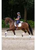 Back on Track Gamaschen 3D Mesh Brushing Schwarz S Voir les images du produit 4