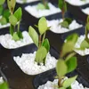 Biovita Gartenbau-Perlit 10L Natürlicher Bodenverbesserer Produktbild-Vorschau 8