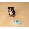 FLAMINGO Intelligenzspielzeug für Hunde Candy Blau 22 cm Produktbild-Vorschau 2