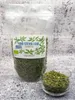 Stevia Blätter geschnitten 300g - aus Griechenland, Produktbild-Vorschau 5