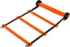 Agility Set | Trainingsleiter Fallschirm Markierungshütchen Produktbild-Vorschau 2