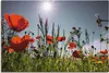 ARTland Leinwandbild Mohnblumenwiese I Größe: 90x60 cm Produktbild-Vorschau 1