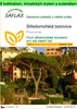 SAFLAX Garden to go - Středomořská borovice - Pinus pinea - Náhled obrázku produktu 1