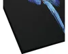 Giclée Leinwandbild Blue Parrot 80x80 cm Produktbild-Vorschau 2