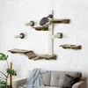PawHut, set di pareti da arrampicata per gatti, composto da Anteprima dell’immagine prodotto 2