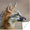 MuchoWow® Poster Fuchs - Makro - Braun 100x100 cm - Produktbild-Vorschau 1