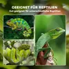 A collage of three different reptiles (chameleon, lizard, snake) with text overlay indicating suitability for reptiles. Produktbild-Vorschau
