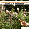 Profi-Partner Langstiel Gartenschere, Astschere mit Produktbild-Vorschau 8