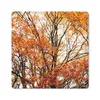 MuchoWow® Mauspad Mousepad Wald - Herbst - Jahreszeiten Produktbild-Vorschau 1