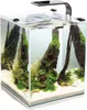 A small, modern aquarium with driftwood, plants, and shrimp, illuminated by an overhead LED light. Voir les images du produit