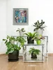 Several potted plants are displayed on glass-topped tables in a room with a painting on the wall. Produktbild-Vorschau