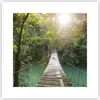 Poster - Poster ohne Rahmen - Brücke Seil Dschungel - 30x30 Produktbild-Vorschau 1