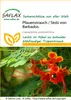 SAFLAX - Páví ker / Hrdosť Barbadosu - Caesalpinia Náhľad obrázku produktu 11