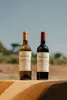 Two bottles of wine are displayed outdoors on a stone surface with a blurred background of trees and sky. Produktbild-Vorschau