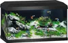 Aquarium Set JUWEL Primo 60 inkl. Abdeckung mit LED Produktbild-Vorschau 1