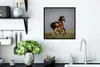 MuchoWow® Gerahmtes Poster Tiere - Pferde - Fohlen 40x40 cm Produktbild-Vorschau 3