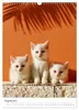 Spaß mit Katzen (Wandkalender 2027 DIN A3 hoch), CALVENDO Produktbild-Vorschau 11