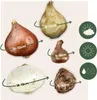 Blumenzwiebelmischung - 125 Stk - Allium, Narcissus, Produktbild-Vorschau 2