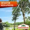 A person is using a long pole saw to trim branches from a tree near a body of water. Produktbild-Vorschau