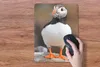 MuchoWow® Mauspad Mousepad Papageientaucher 30x40 cm - Produktbild-Vorschau 3