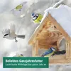 Agrarzone Cibo per uccelli selvatici Allround 20 kg Anteprima dell’immagine prodotto 2