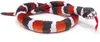 A stuffed toy snake coiled on a white background. Produktbild-Vorschau