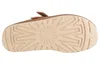 Buty UGG goldenstar clog chestnut 1138252CHE Podgląd zdjęcia produktu 10