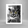 Poster - Poster ohne Rahmen - Eule Vogel Natur - 40x50 cm - Produktbild-Vorschau 4