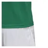 Adidas Estro 19 Trikot Kurzarm Herren - Grün / Weiß Produktbild-Vorschau 6