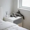 A grey cat is lying on its back on a white nightstand next to a window. Produktbild-Vorschau