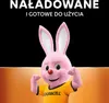 Duracell Akku Recharge Ultra Mignon - AA 2500mAh 4St. Voir les images du produit 32