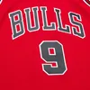 Swingman Mesh Jersey Chicago Bulls 1997, Ron Harper - Maat Productafbeelding-voorbeeld 3