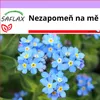 SAFLAX - Nezapomeň na mě - Myosotis sylvatica - 150 Semena Náhled obrázku produktu 4