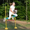 Hobby Horse Skippi. Koń na kiju gniado-srokaty Podgląd zdjęcia produktu 4