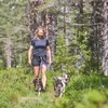 Non-stop dogwear Hundegeschirr Line Harness 5.0 lila Produktbild-Vorschau 7
