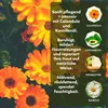 Cristinen Moor Ringelblumen Balsam 300 ml, Produktbild-Vorschau 3
