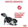 Royal Canin Digestive Care, Adult, Fisch, Reis, Gemüse, 2 Produktbild-Vorschau 10